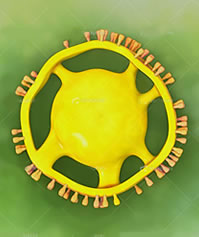 Coronavirus